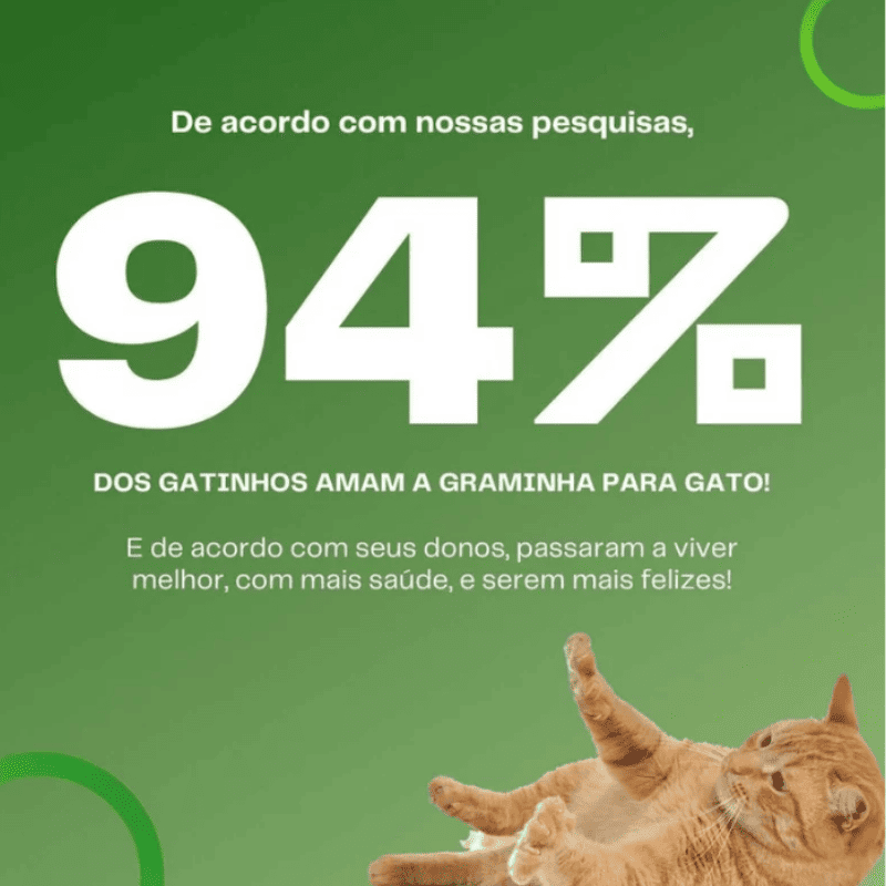 Graminha para gatos