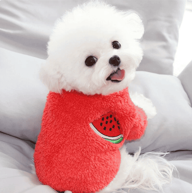 Blusão de Pelúcia | Para Cachorro