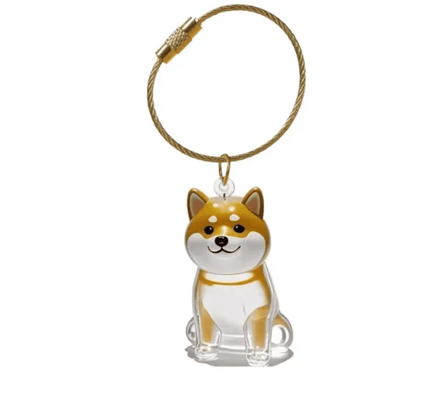 Chaveiro Pet Lembrança Viva