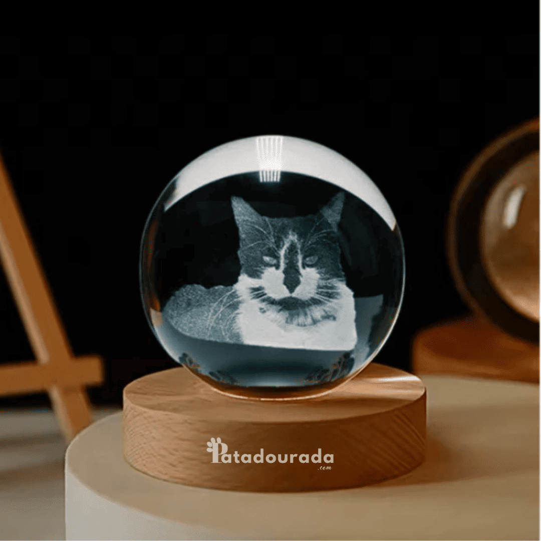 Luminária 3D Personalizada