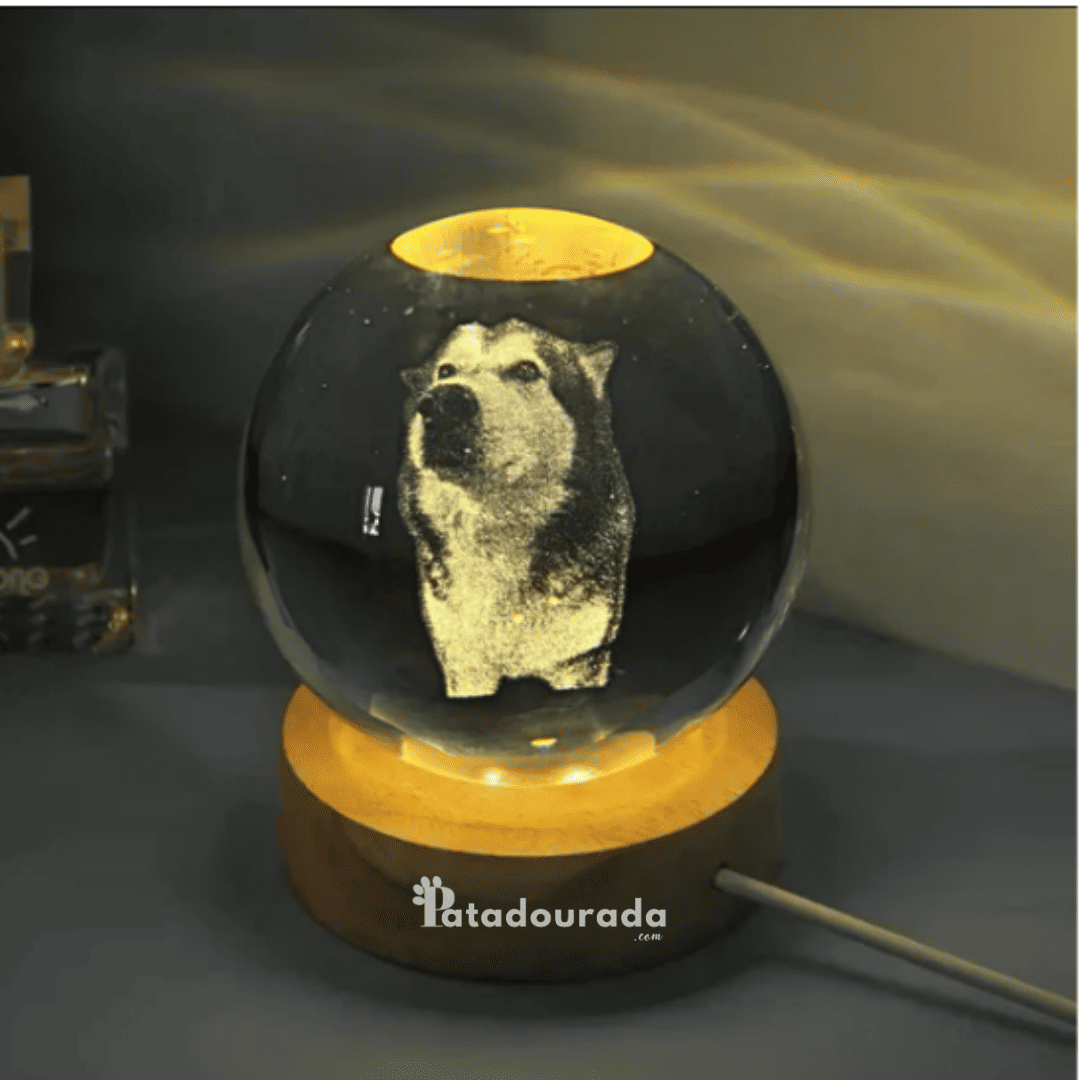 Luminária 3D Personalizada