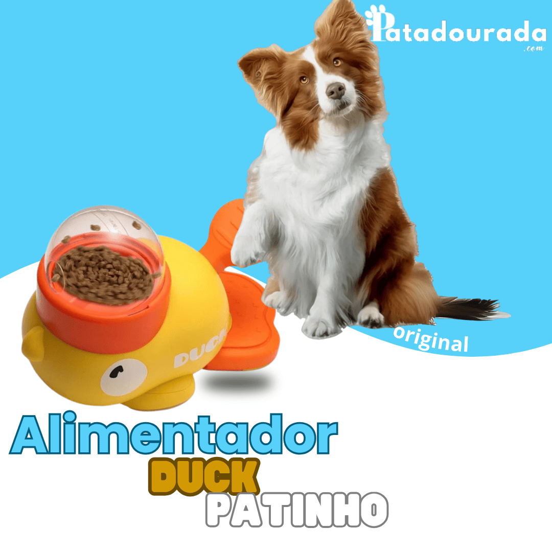 Alimentador Duck Patinho Interativo para Cães