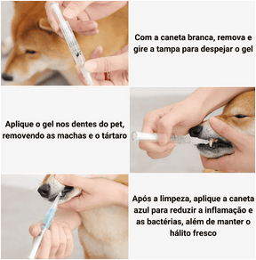 Caneta Anti Tártaro para Pets  Pague 1  Leve 2