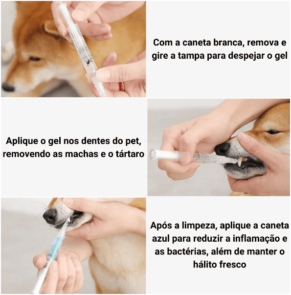 Caneta Anti Tártaro para Pets  Pague 1  Leve 2