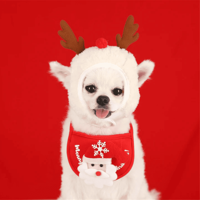 Babador &/ou Gorro Fofo de Natal