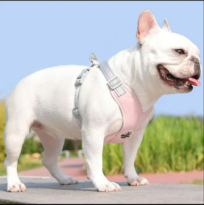 Kit Coleira Peitoral e Guia de Passeio - Petbudy