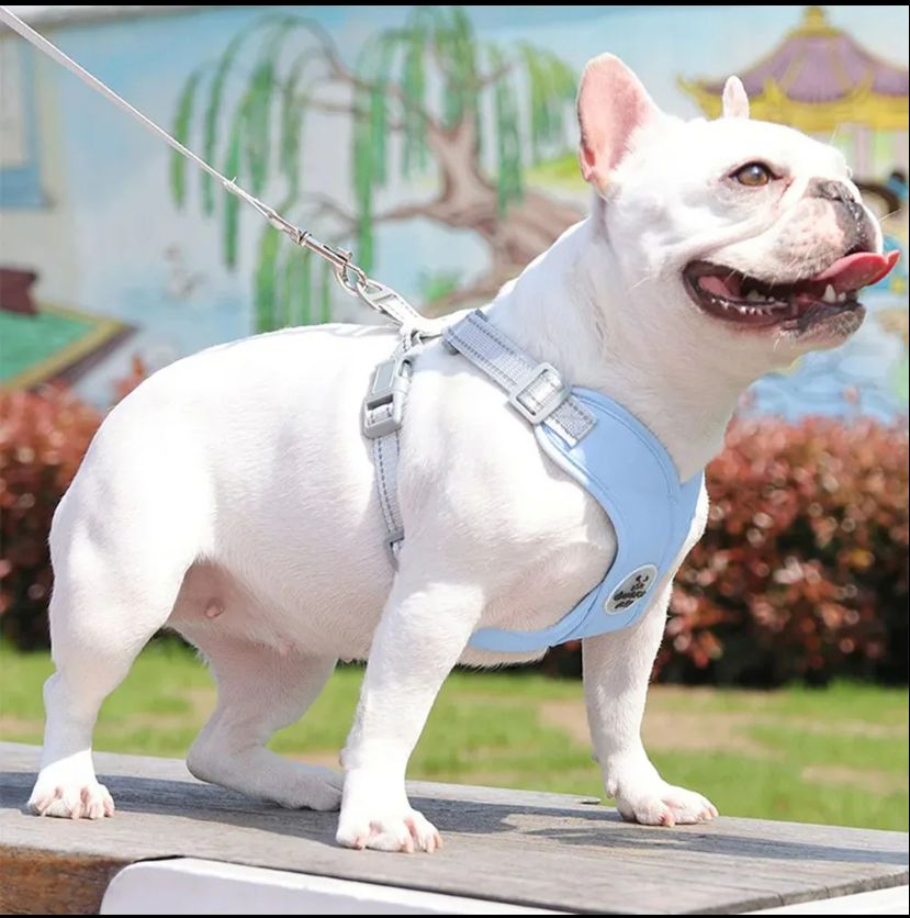 Kit Coleira Peitoral e Guia de Passeio - Petbudy