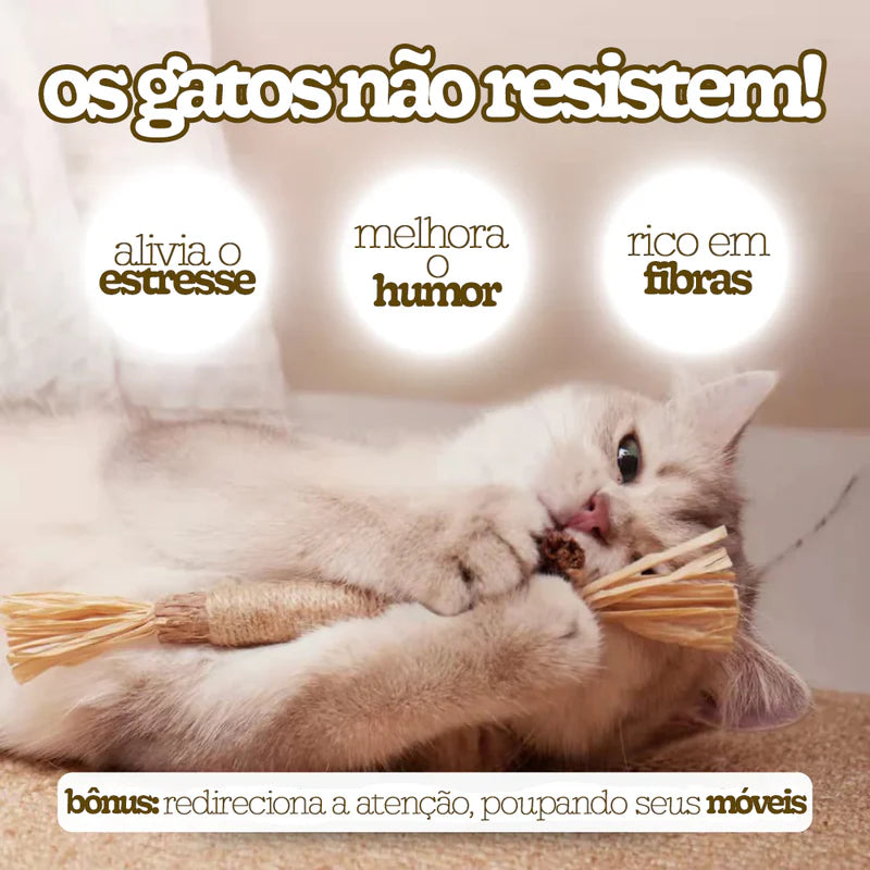 Mordedor Saudável para Gatos - kit com 5 pcs