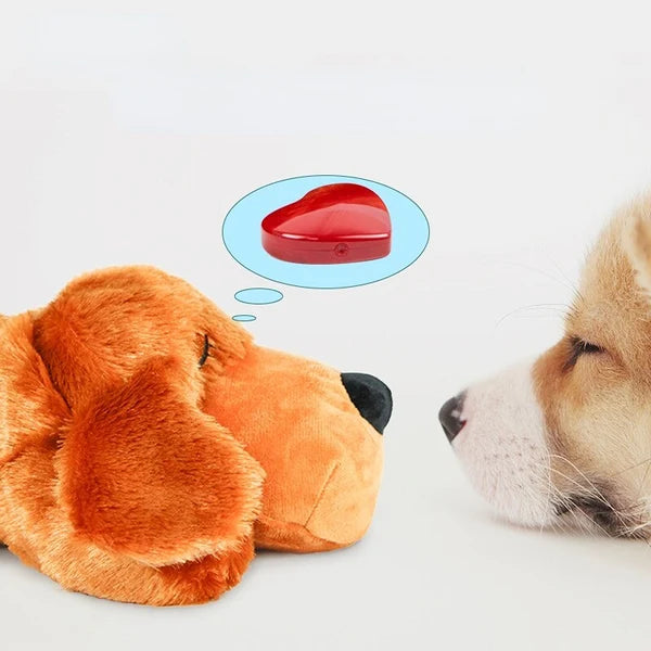 Ursinho com Batimentos Cardíacos – Aconchego Pet