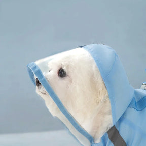 Conjunto de Capa de Chuva e Sapatos de Chuva para Cães Pequenos!