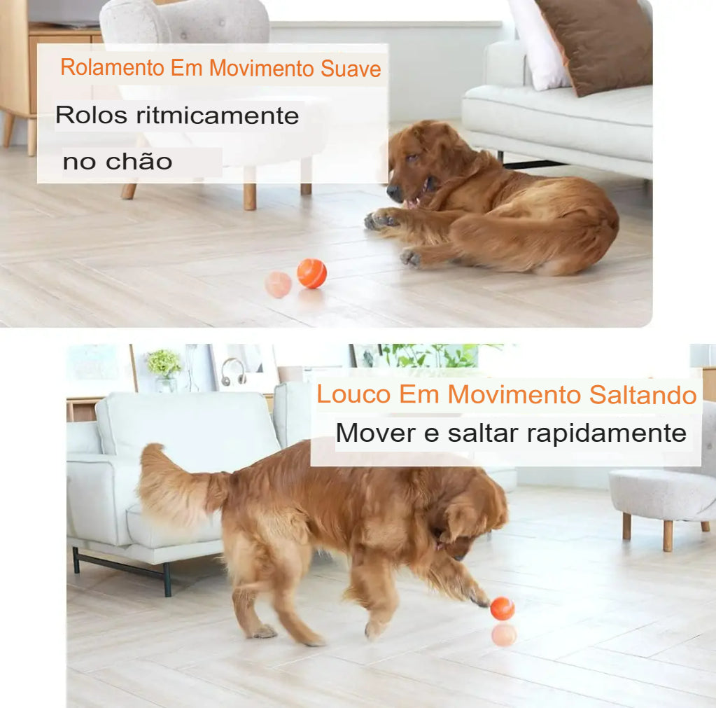 Pet Bolinha Inteligente.