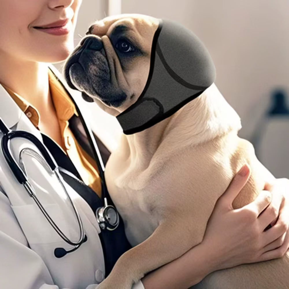 Abafador de Ruídos Pet – Conforto & Proteção