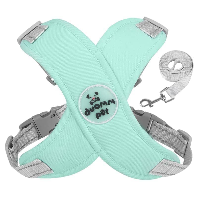 Kit Coleira Peitoral e Guia de Passeio - Petbudy