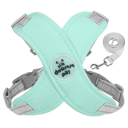 Kit Coleira Peitoral e Guia de Passeio - Petbudy