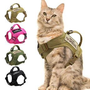 Colete Tático Militar - Petbudy🐾 - Patadourada