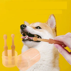 Kit de Cuidados Dentários para Pets - Patadourada