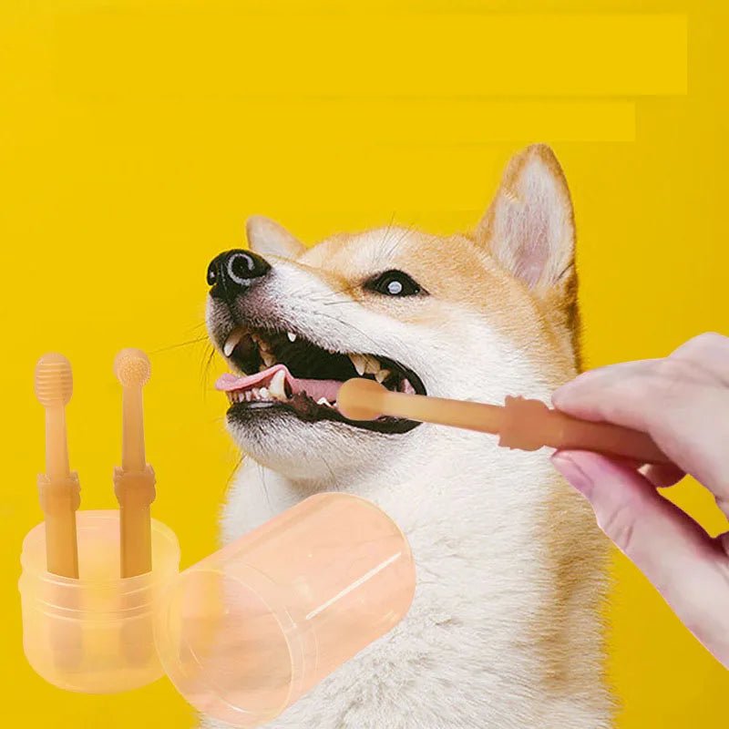 Kit de Cuidados Dentários para Pets - Patadourada