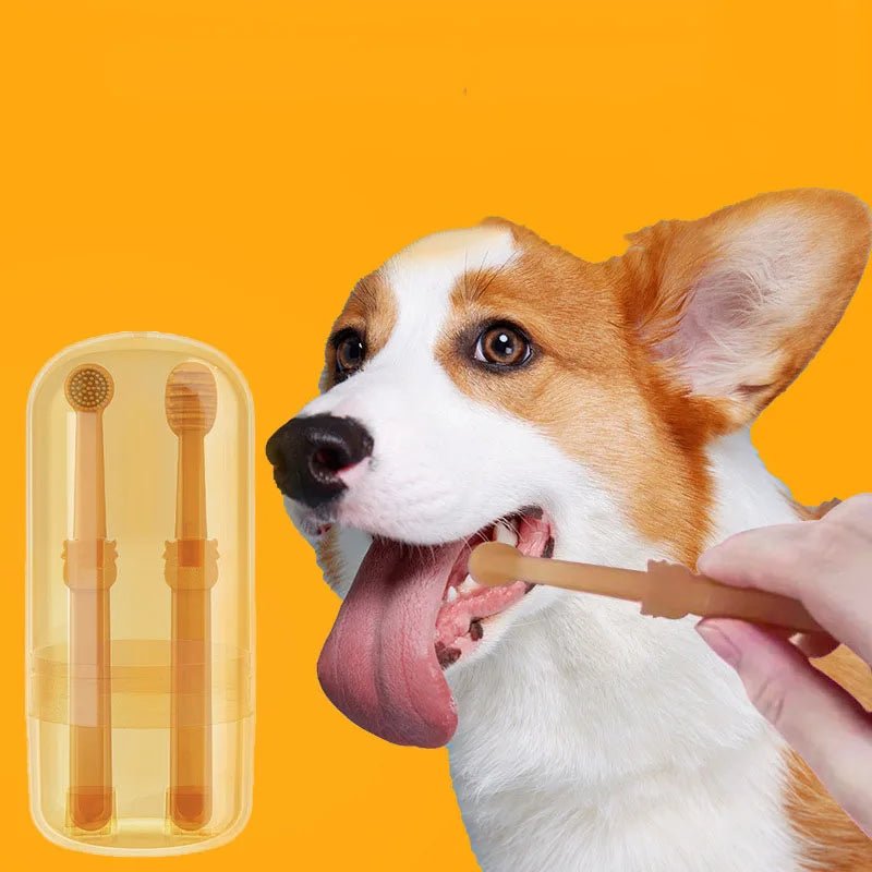 Kit de Cuidados Dentários para Pets - Patadourada