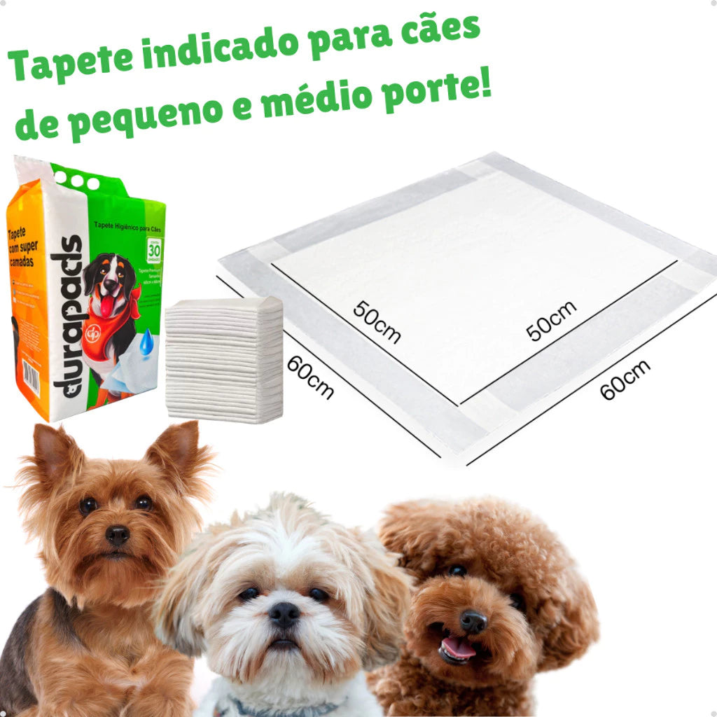 AbsorvePet Tapete Higiênico  – 60 unidades